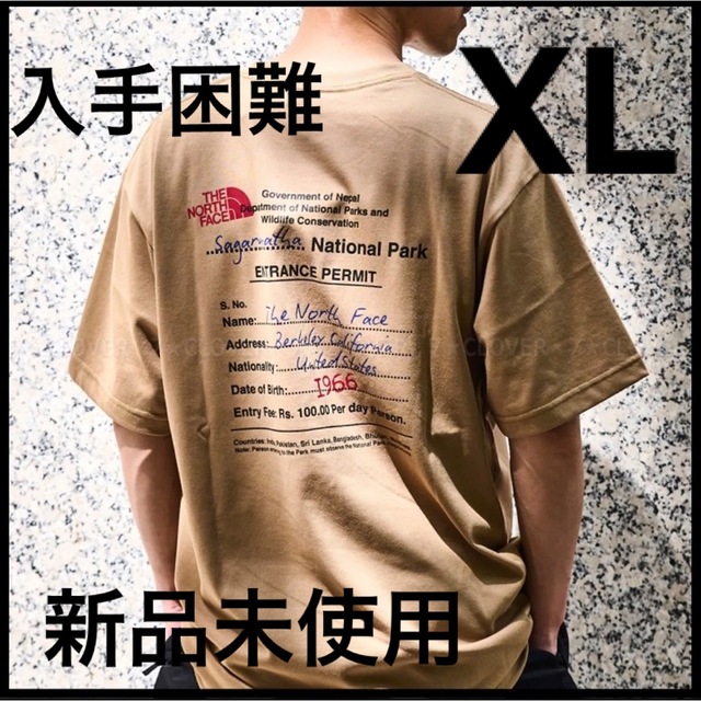 Tシャツ/カットソー(半袖/袖なし)THE NORTH FACE BACK GRAPHIC PRINT 新作