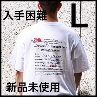 ザノースフェイス(THE NORTH FACE)のTHE NORTH FACE BACK GRAPHIC PRINT 新作(Tシャツ/カットソー(半袖/袖なし))