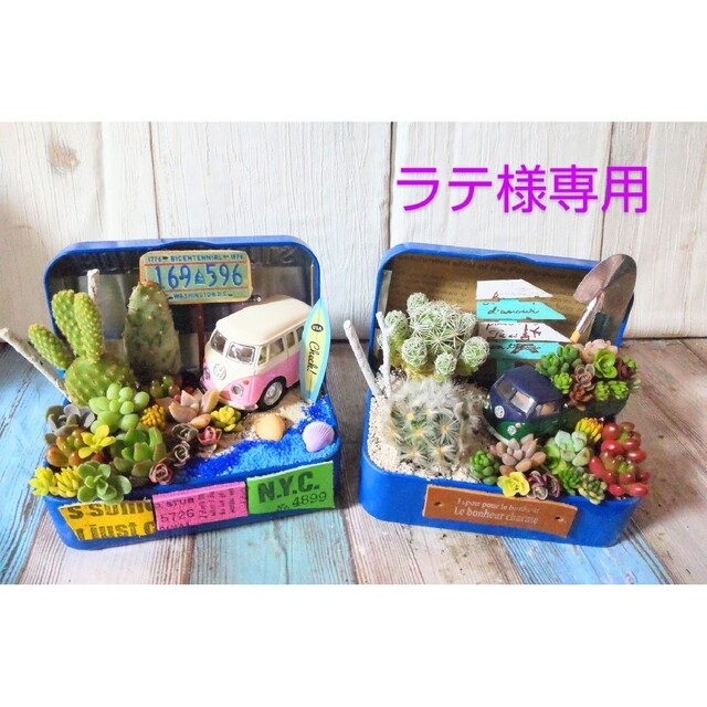 専用   多肉植物の寄せ植え️♡そのまま飾れる ハンドメイドのフラワー/ガーデン(その他)の商品写真