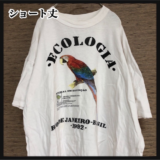 パスヘッド　Tシャツ　鳥　黒L