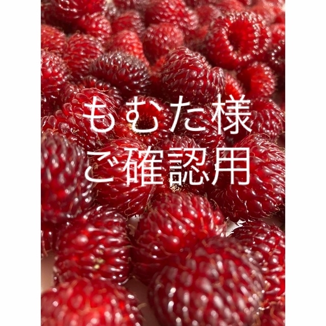 ウルトララズベリー苗 もむた様ご確認用の通販 by ミスティーパープル