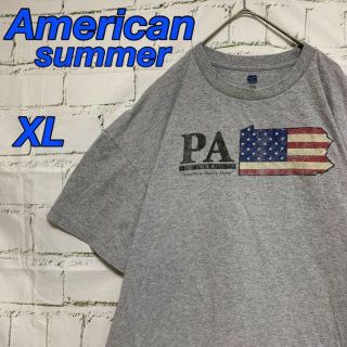 【American summer】 USA古着Tシャツ　XL  グレー　Tシャツ(Tシャツ/カットソー(半袖/袖なし))