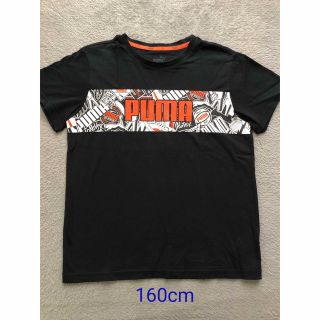 プーマ(PUMA)のプーマ黒色半袖Tシャツ☆160cm(Tシャツ/カットソー)