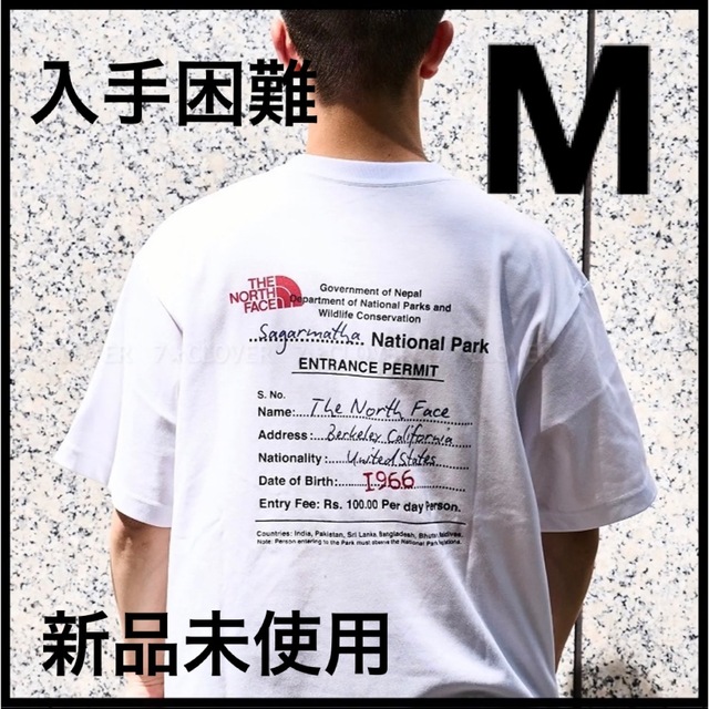 THE NORTH FACE(ザノースフェイス)のTHE NORTH FACE BACK GRAPHIC PRINT 新作 メンズのトップス(Tシャツ/カットソー(半袖/袖なし))の商品写真