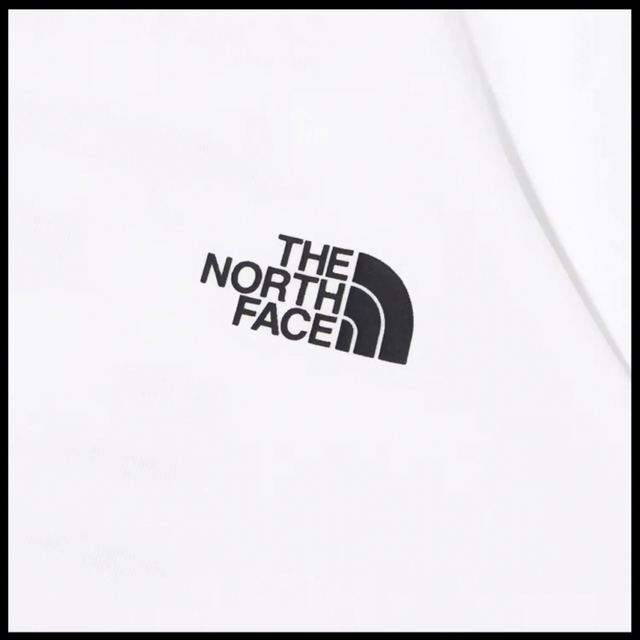 THE NORTH FACE(ザノースフェイス)のTHE NORTH FACE BACK GRAPHIC PRINT 新作 メンズのトップス(Tシャツ/カットソー(半袖/袖なし))の商品写真