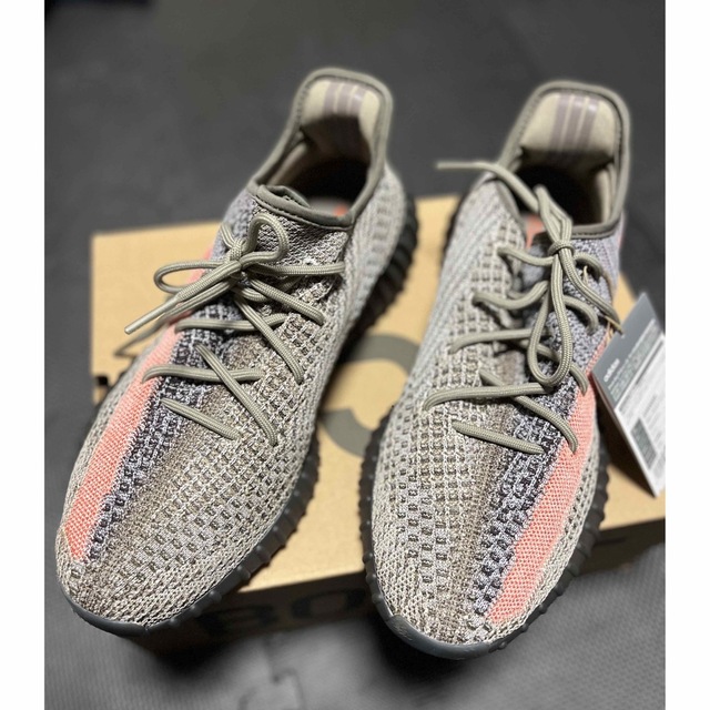 YEEZY（adidas）(イージー)のYeezy Boost  V2 350 ASH STONE メンズの靴/シューズ(スニーカー)の商品写真