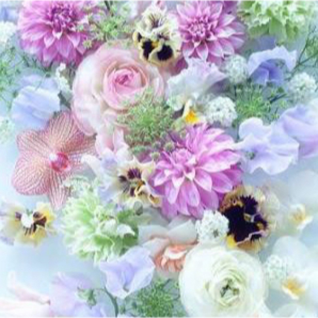 55%以上節約 お値下げ!新品❤︎ONEARTS 吸汗速乾 スポーツブラ