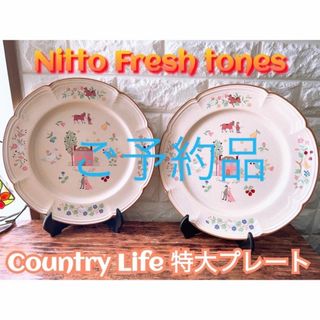 ノリタケ(Noritake)のレア【Nitto】Fresh tones 特大プレート 日東陶器 ノリタケ(食器)
