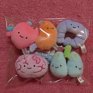 にっこりーノ 元気なカラダのぬいぐるみ 5種セット クオリア ガチャガチャ(ぬいぐるみ)