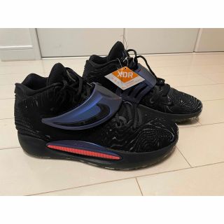 ナイキ(NIKE)の【銀ちゃん様専用】NIKE KD14 26.5cm 未使用(バスケットボール)