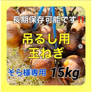 吊るせて保存できる‼️玉ねぎ15キロ入‼️甘い玉ねぎ❗️(野菜)