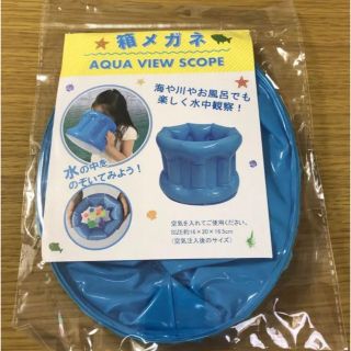 箱メガネ　水中めがね　新品　未使用　未開封　最安値　値下げ不可(その他)