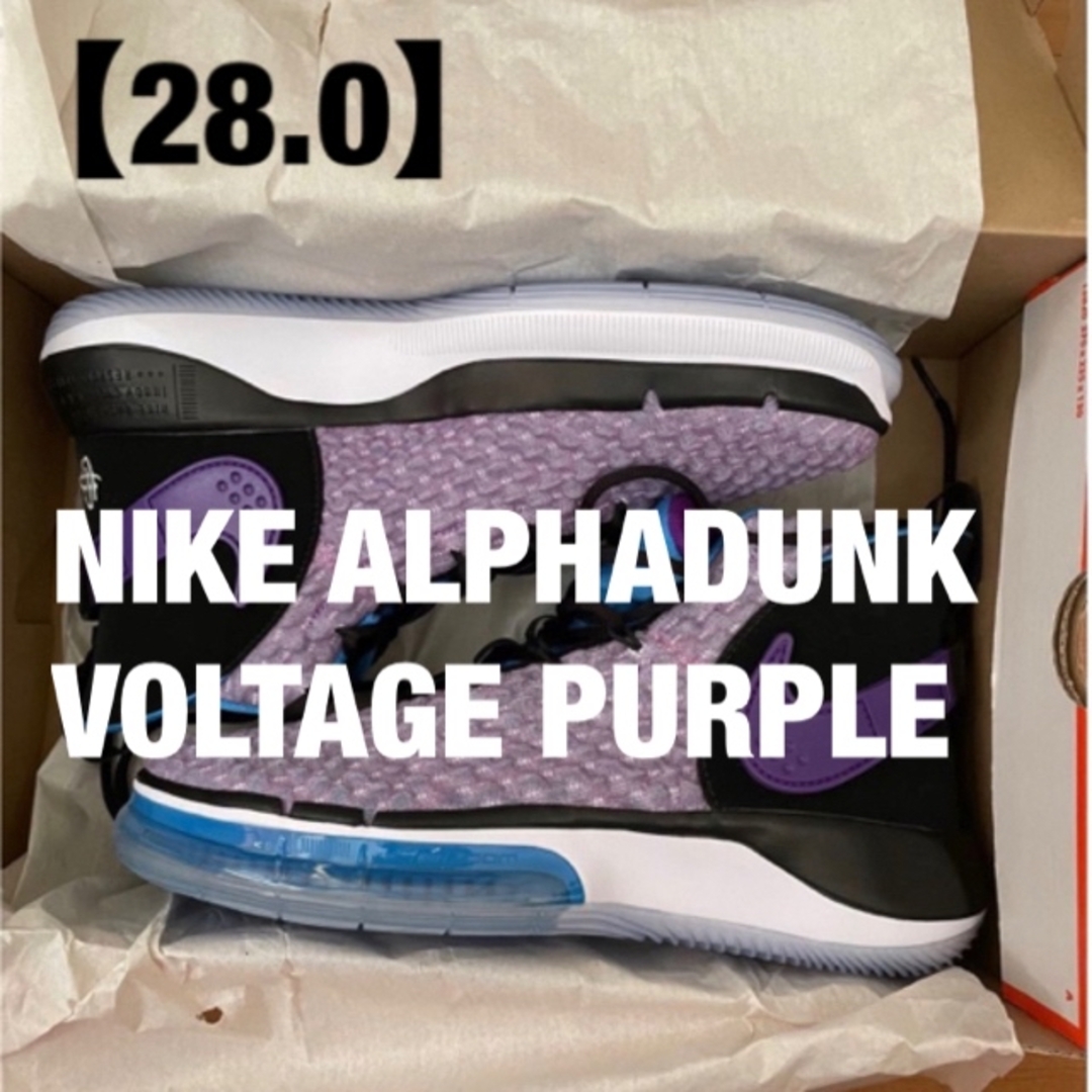 NIKE(ナイキ)の【幻品】NIKE ALPHADUNK VOLTAGE PURPLE【28.0】 スポーツ/アウトドアのスポーツ/アウトドア その他(バスケットボール)の商品写真