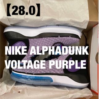 ナイキ(NIKE)の【希少】NIKE ALPHADUNK VOLTAGE PURPLE【28.0】(バスケットボール)