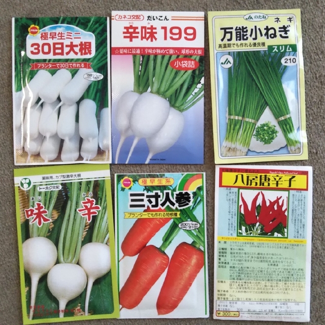 【発芽保証なし】野菜・ハーブの種 12種セット インテリア/住まい/日用品のインテリア/住まい/日用品 その他(その他)の商品写真