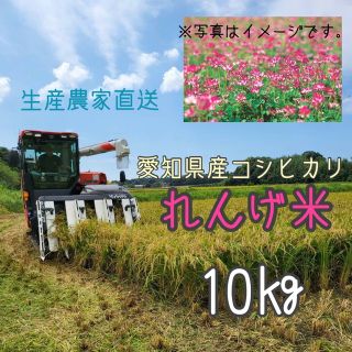れんげ米　愛知県産コシヒカリ　10㎏（白米9㎏）(米/穀物)