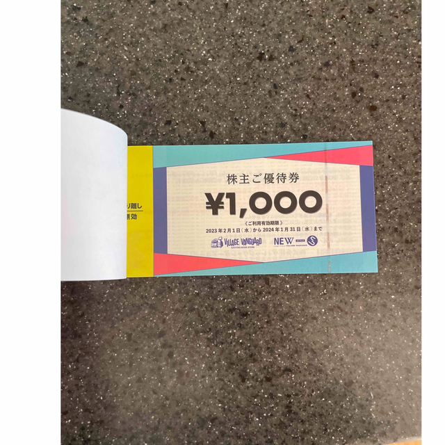 【匿名追跡配送】12000円分　ヴィレッジヴァンガード　株主優待 1