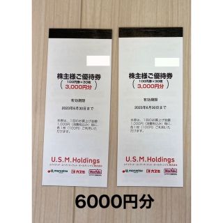 カスミ　マルエツ　マックスバリュー　株主優待券　2冊　6000円分(ショッピング)