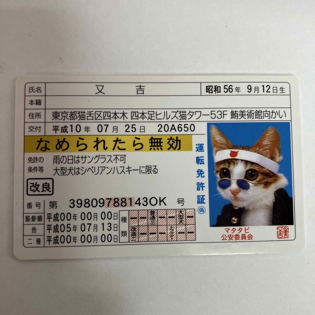 レア なめ猫 免許証 なめんなよゴールド免許証 - コミック/アニメグッズ