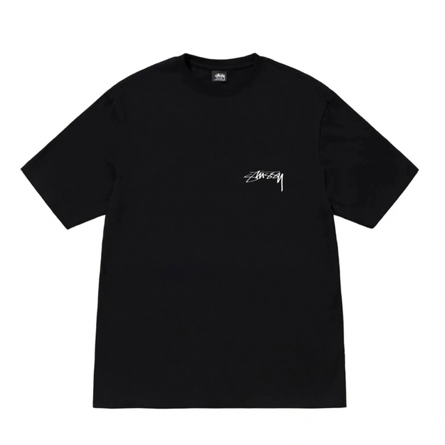 STUSSY SPHINX TEE ステューシー　半袖 1