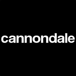 キャノンデール(Cannondale)の2枚セット カッティングステッカー キャノンデール(その他)