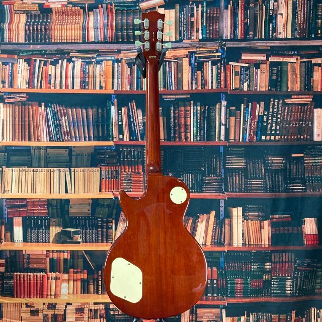 5237】 grass roots Les Paul ケース付 弦交換不要 | www.matelec.com.ec