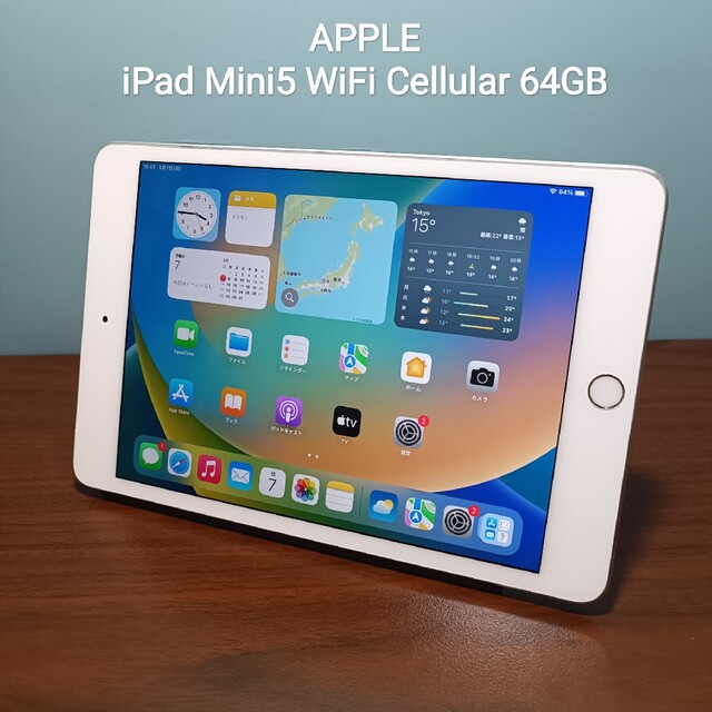 2022年春夏 (美品) iPad Mini5 第5世代 Wifi Simフリー64GB