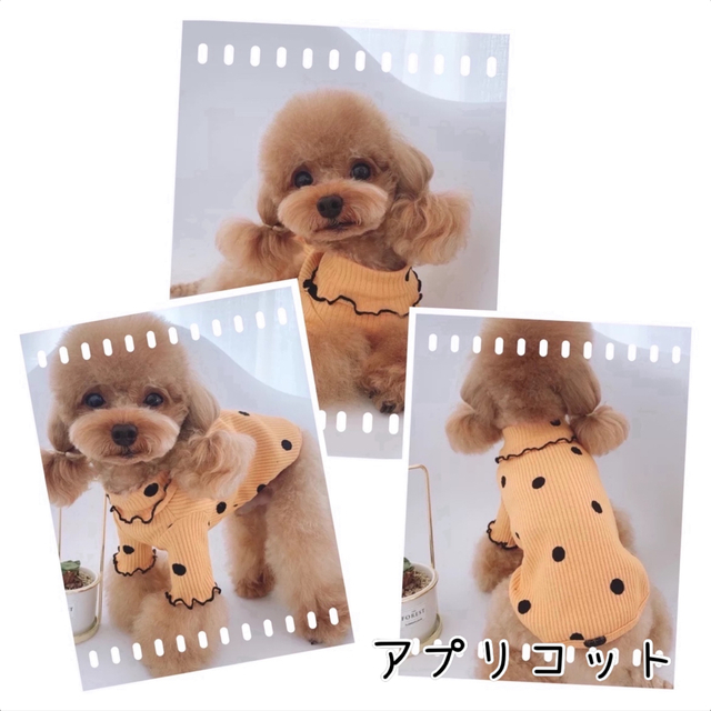 ドットメロウフリル　オレンジ　S　新品　犬服　猫服　ペット服　春秋　ドッグウェア