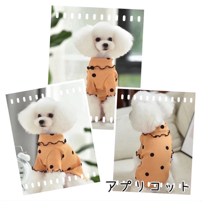 ドットメロウフリル　オレンジ　S　新品　犬服　猫服　ペット服　春秋　ドッグウェア