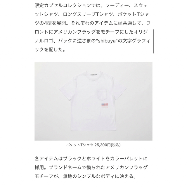 Alexander Wang(アレキサンダーワン)のアレキサンダーワン ALEXANDER WANG　渋谷限定星条旗プリントTシャツ メンズのトップス(Tシャツ/カットソー(半袖/袖なし))の商品写真