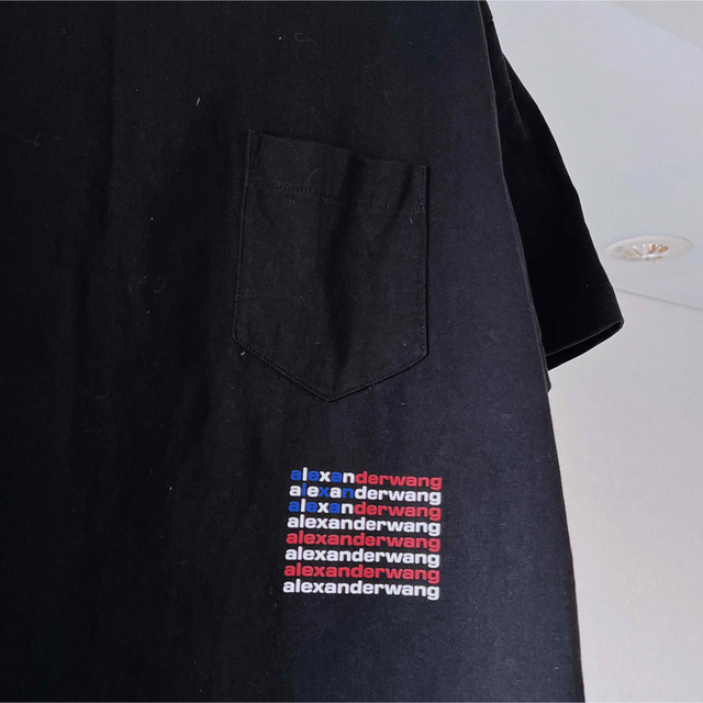 Alexander Wang(アレキサンダーワン)のアレキサンダーワン ALEXANDER WANG　渋谷限定星条旗プリントTシャツ メンズのトップス(Tシャツ/カットソー(半袖/袖なし))の商品写真