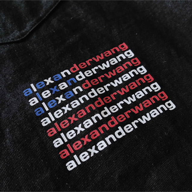 Alexander Wang(アレキサンダーワン)のアレキサンダーワン ALEXANDER WANG　渋谷限定星条旗プリントTシャツ メンズのトップス(Tシャツ/カットソー(半袖/袖なし))の商品写真