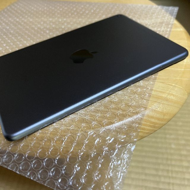 第5世代 iPad Mini 256GB Wi-Fi+Cellular - タブレット