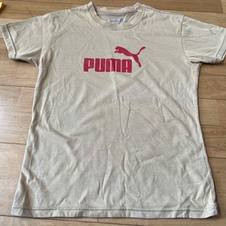 プーマ(PUMA)のPUMA レディース Lサイズ(Tシャツ(半袖/袖なし))