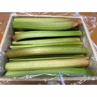 信州産　フレッシュルバーブ ミックスカラー /簡単絶品クランブルを作ろう♪(野菜)