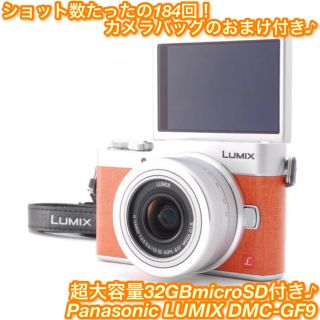 LUMIX GF9 カメラケースとmicroSDカード付き