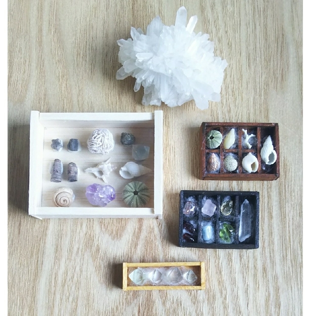 ミニチュア☆化石&鉱物&貝殻&ウニ標本 ハンドメイドのおもちゃ(ミニチュア)の商品写真