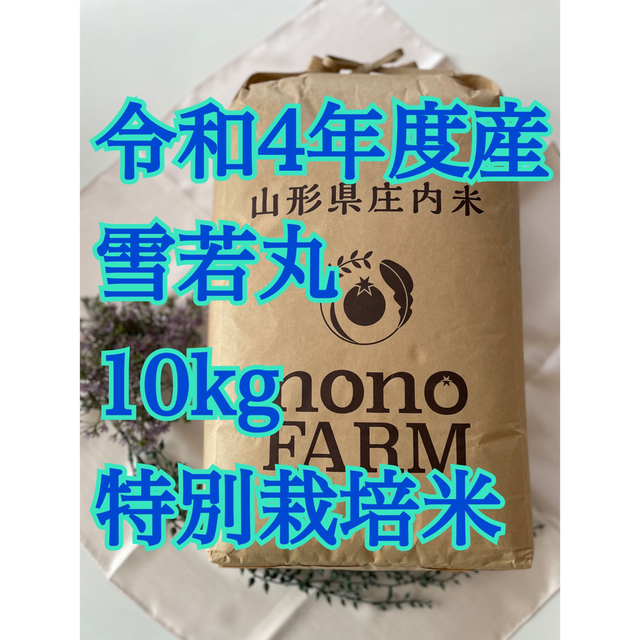雪若丸　10kg 山形　特別栽培米　令和4年産