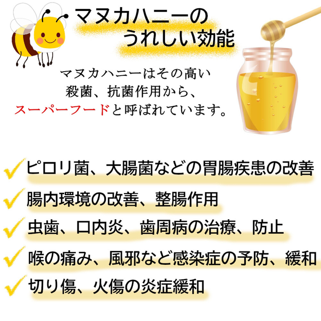 生活の木(セイカツノキ)のマヌカハニージンジャー　ティーバック30TB×2袋　生活の木 ハーブティー 食品/飲料/酒の飲料(茶)の商品写真