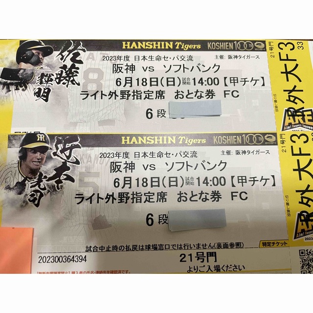 阪神タイガース(ハンシンタイガース)の阪神タイガース　6/18(日) 交流戦 阪神Xソフトバンク 2席連番　通路側 チケットのスポーツ(野球)の商品写真