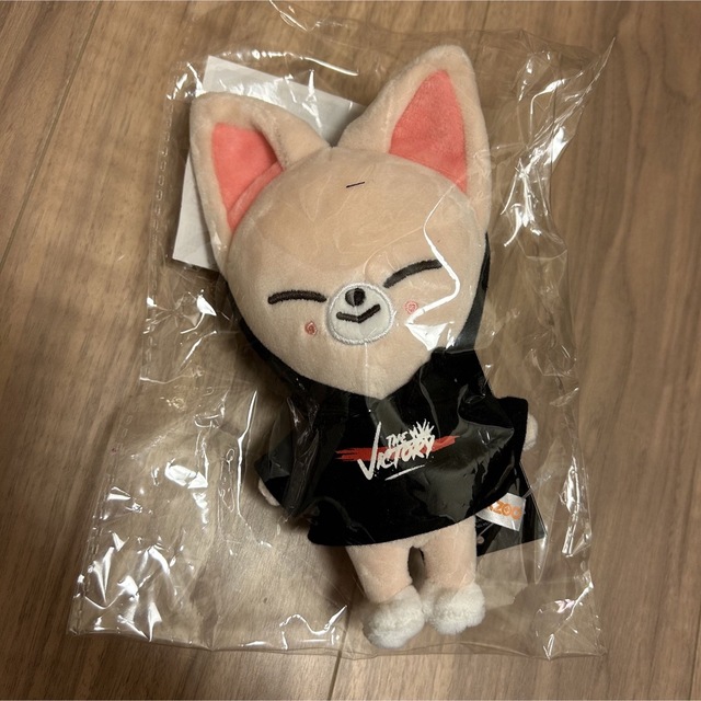 Stray Kids - STRAYKIDS × SKZOO ぬいぐるみ ミニ アイエン イエニ