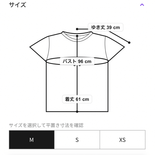 POLO RALPH LAUREN(ポロラルフローレン)の今期•新品タグ付きポロラルフローレンRL ロゴ ジャージー Tシャツ   レディースのトップス(Tシャツ(半袖/袖なし))の商品写真