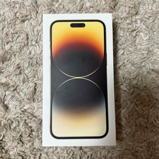 アイフォーン(iPhone)のApple iPhone 14Pro Max 【空箱】(その他)