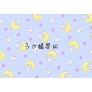 セーラームーン(セーラームーン)の【専用】セーラームーンストア🌙チャーム コレクション(キャラクターグッズ)