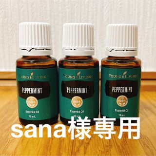 sana様専用(その他)