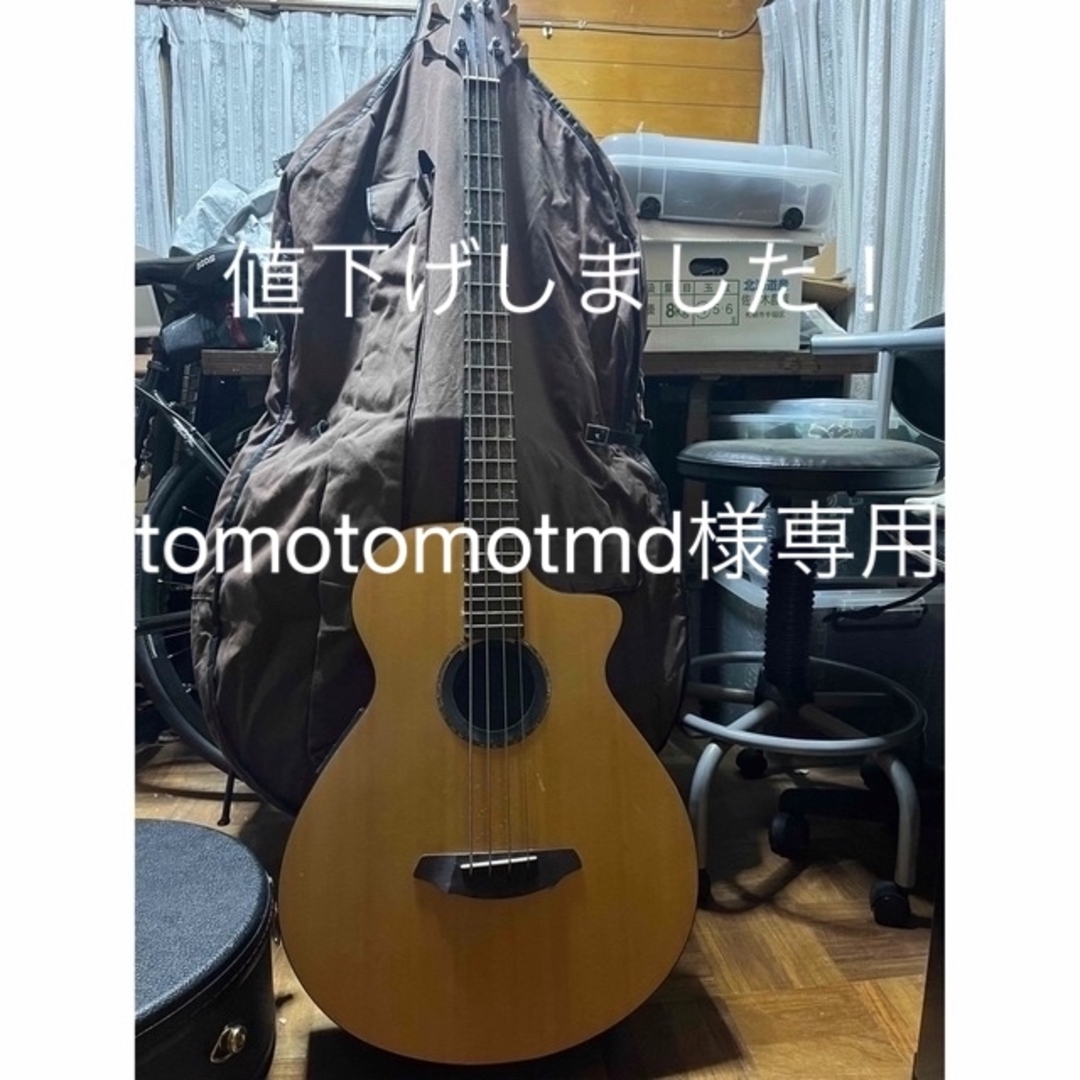 Breedlove エレアコベース　純正ハードケース付き