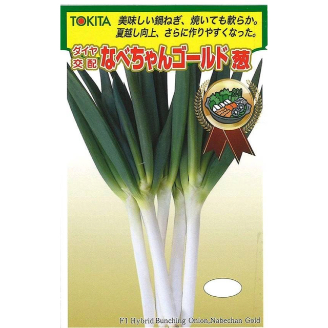 群馬県産　上州鍋ネギ　なべちゃんゴールド　苗 食品/飲料/酒の食品(野菜)の商品写真