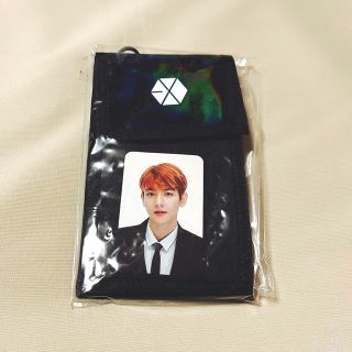 エクソ(EXO)のEXO ベクヒョン チケットホルダー(アイドルグッズ)