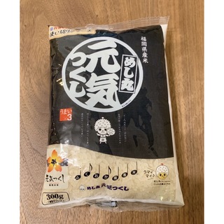 白米　米　令和4年産　福岡県産元気つくし　300g ２合(米/穀物)