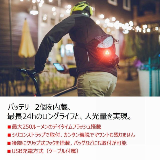 自転車 【色: ZECTO DRIVE MAX(250ルーメン)】日本 LEZYNEレザ 特注